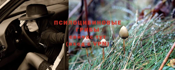 сатива Алексеевка