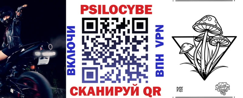 MEGA tor  где купить   Гвардейск  Галлюциногенные грибы GOLDEN TEACHER 
