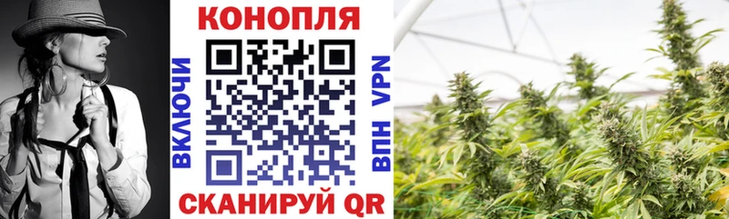 Каннабис семена  Гвардейск 